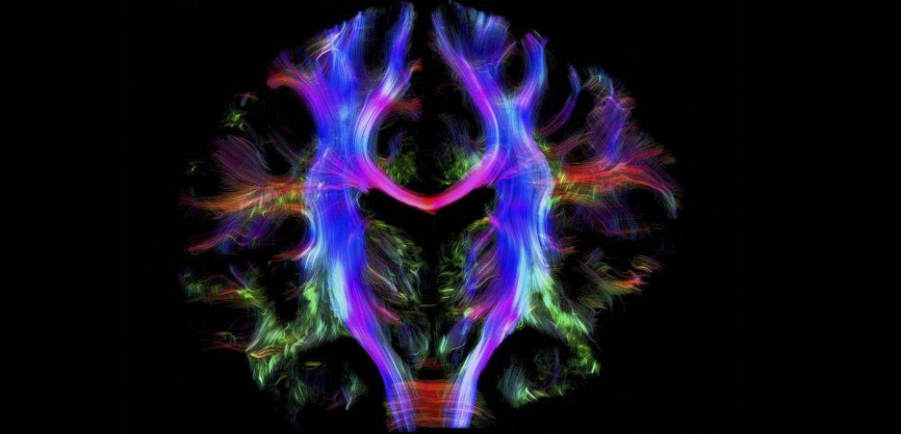comment le cerveau élabore-t-il la conscience